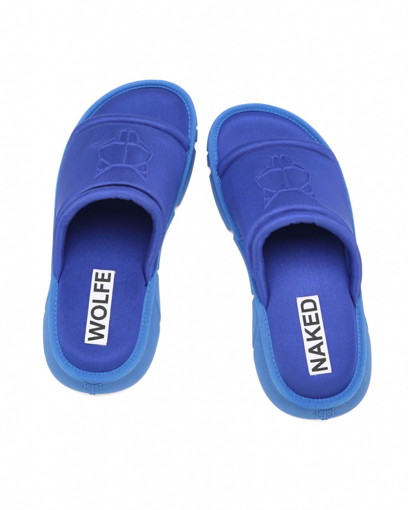 Naked Wolfe Arizona Men's Slides Blue UK | M6D-9650